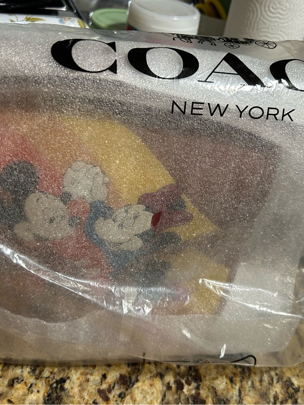 Coach Brown Leather Crossbody with Mickey & Minnie Rainbow Motif - Picture 11 of 12